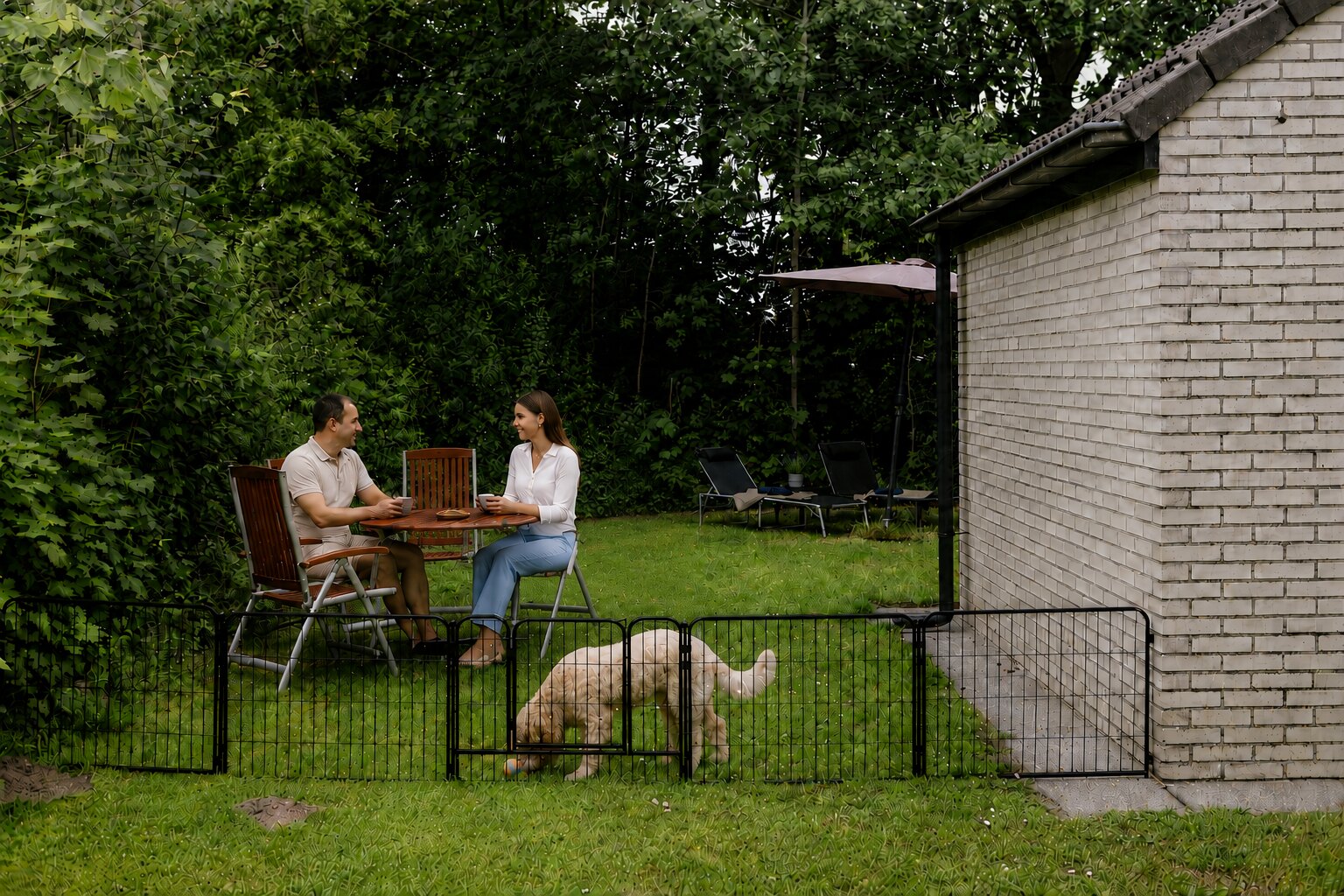 Labradoodle speelt bij het hondenhekje terwijl twee gasten koffie drinken in de omheinde tuin van Vakantie Hoeven